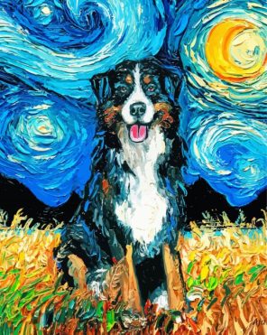 Bernese Starry Night paint by numbers