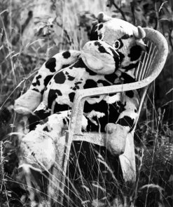 Monochrome Cow Paint By Numbers