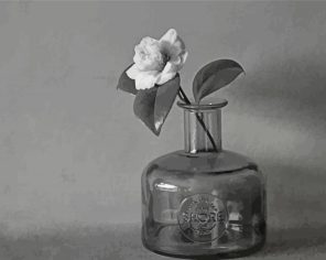 Black and White Flower paint by numbers