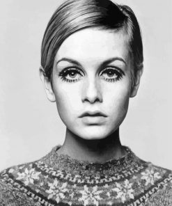 Twiggy Model Paint by Numbers