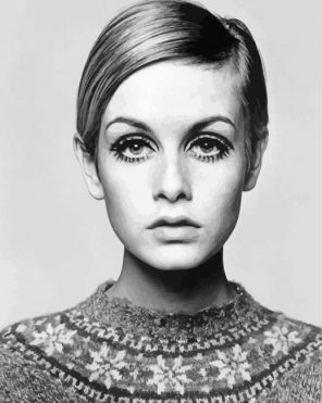 Twiggy Model Paint by Numbers