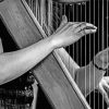 Black And White Harpists paint by numbers