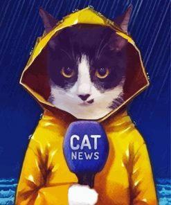 Black Cat Reporter Under Rain paint by numbers