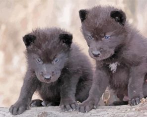Wolf Puppies Paint By Numbers