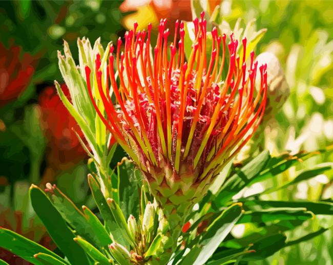 Red Proteas Flower - Paint By Numbers - ThePaintByNumbers.COM