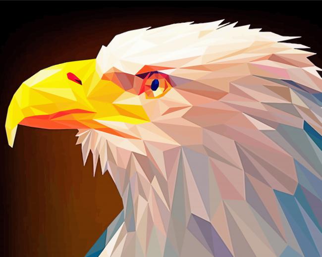 Eagle Abstract Paint By Numbers