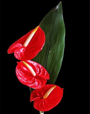 Flamingo Flower Anthurium paint by numbers