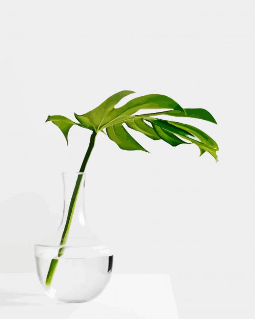 Minimalist Plant Paint by Numbers