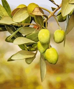 Geen Olive Tree Paint By Numbers