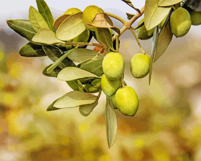 Geen Olive Tree Paint By Numbers