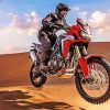 Honda Africa Twin paint by numbers