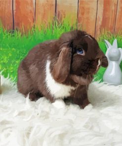 Mini Lop Rabbit Paint by Numbers
