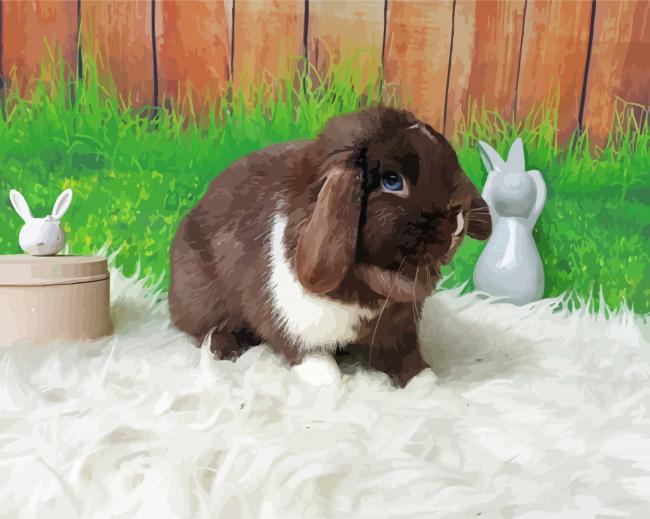 Mini Lop Rabbit Paint by Numbers