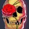 Rose Skull paint by numbers