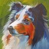 Rough Collie Dog Art paint by numbers