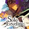 Solo Leveling Paint By Numbers
