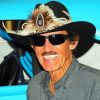 Richard Petty Paint by Numbers