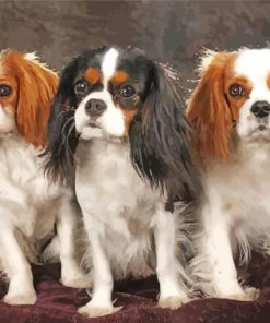 Trio King Charles paint by numbers