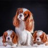 Trio King Charles Dogs paint by numbers
