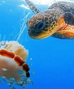 Turtle With Jellyfish paint by numbers