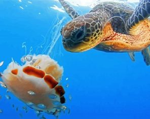 Turtle With Jellyfish paint by numbers