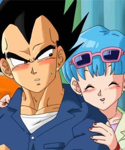 Vegeta And Bulma Characters paint by numbers