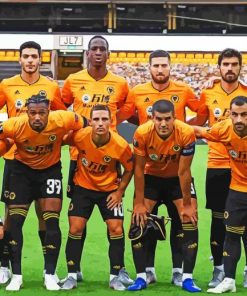 Wolves F.c Team Paint By Numbers