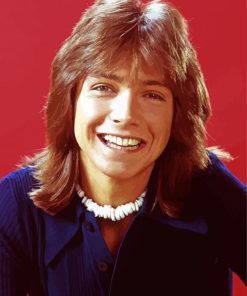 Young David Cassidy paint by numbers