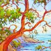 Arbutus Madrone Tree Paint By Numbers
