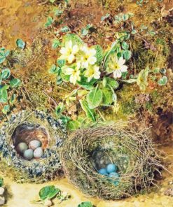 Bird Nests Art Paint By Numbers