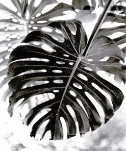 Monochrome Plant Paint By Numbers