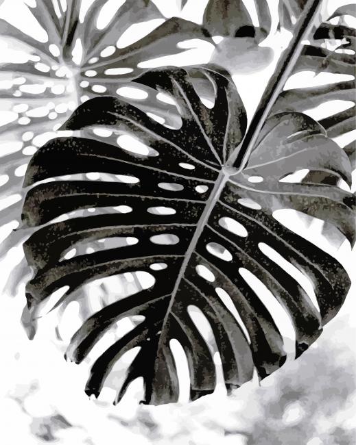 Monochrome Plant Paint By Numbers