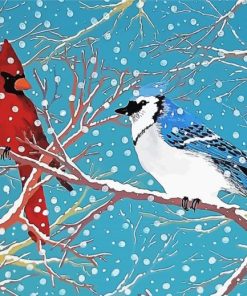Cardinal And Jay Bird Paint By Numbers