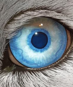 Close Up Wolf Eyes paint by numbers