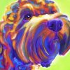 Colorful Cockapoo paint by numbers