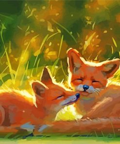 Cute Fox Couple Paint By Numbers