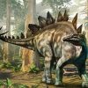 Dinosaur Stegosaurus paint by numbers