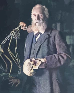 Zoologist Ernst Haeckel paint by numbers