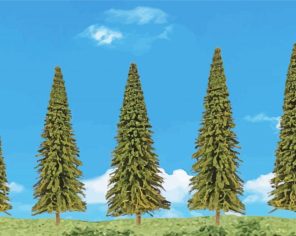 Evergreen Trees paint by numbers