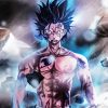 Gray Fullbuster Fairy Tail Paint By Numbers