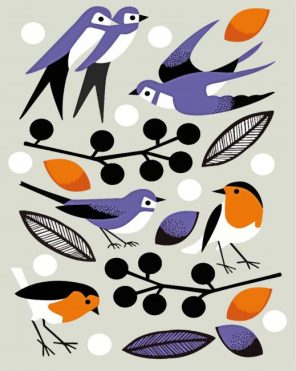 Birds Illustration Art Paint By Numbers