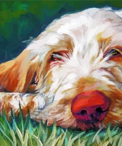 Spinone Dog Art paint by numbers