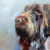 Italian Spinone Head Paint By Numbers
