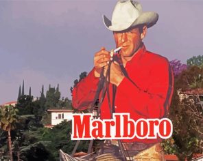 Marlboro Man paint by numbers