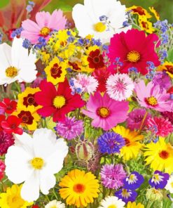 Mixed Flowers Paint By Numbers