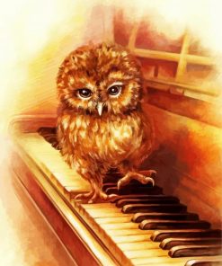 Owl Bird Playing Piano Paint By Numbers