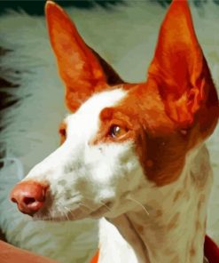 Podenco Dog Head Paint By Numbers