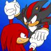 Shadow And Knuckles Paint By Numbers