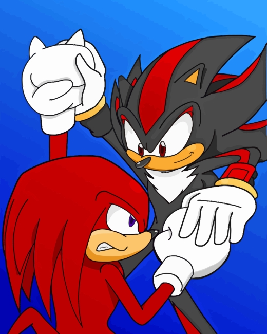 Shadow And Knuckles Paint By Numbers