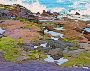 Tide Pool Landscape Paint By Numbers